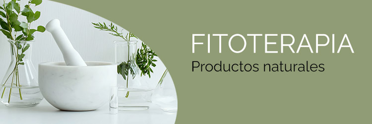 creatividad fitoterapia